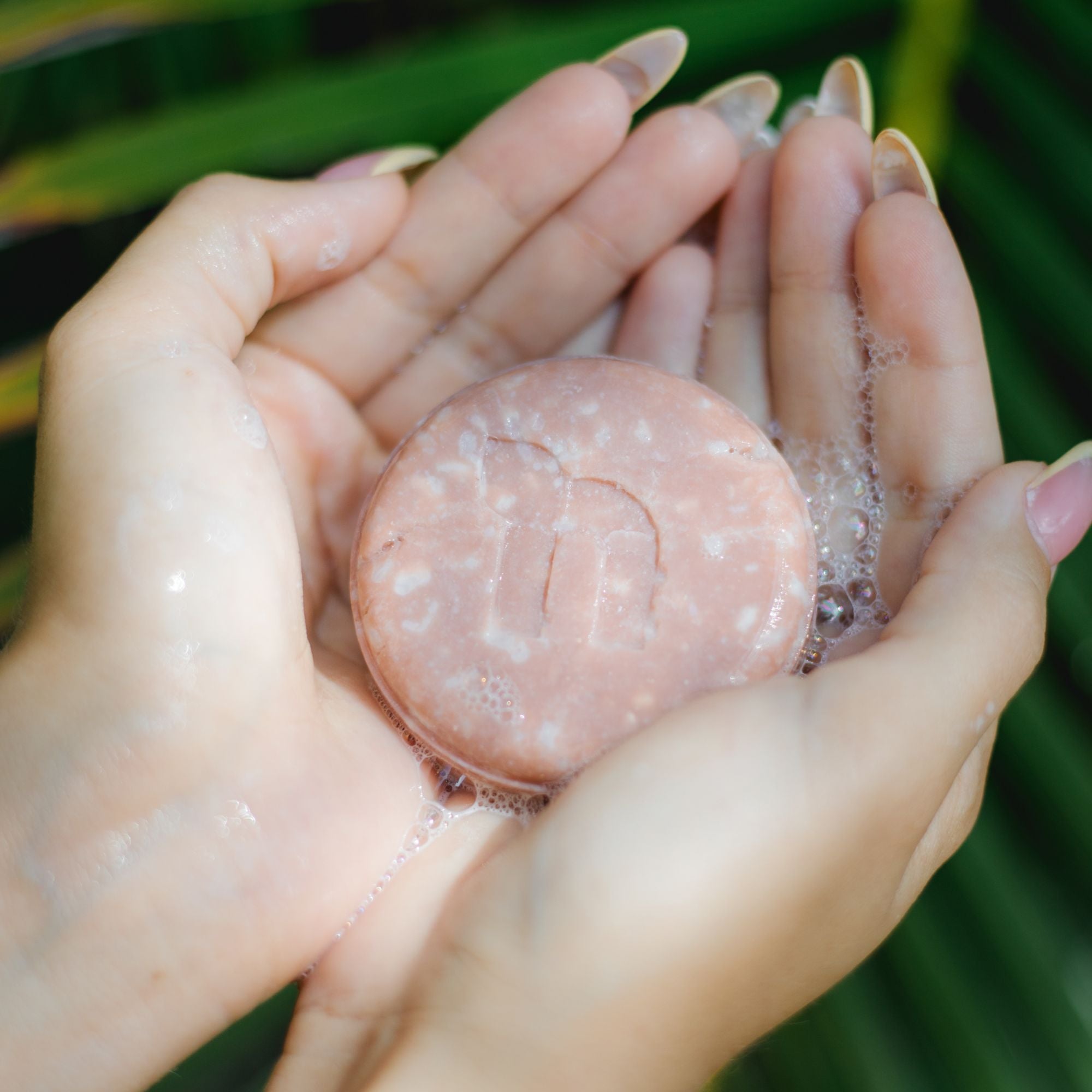 Honig (Shampooseifen)